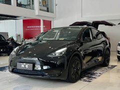 Tesla Model Y Rear-Wheel Drive - ფოტო 1