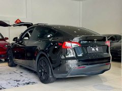 Tesla Model Y Rear-Wheel Drive - ფოტო 13