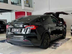 Tesla Model Y Rear-Wheel Drive - ფოტო 15