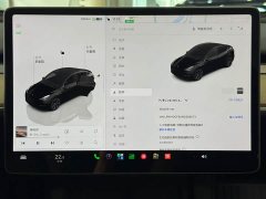 Tesla Model Y Rear-Wheel Drive - ფოტო 16