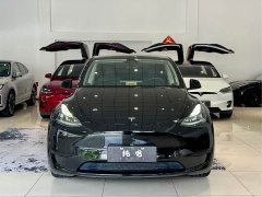 Tesla Model Y Rear-Wheel Drive - ფოტო 2