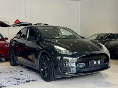 Tesla Model Y Rear-Wheel Drive - ფოტო 3