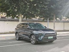 Great Wall WEY Blue Mountain Four-Wheel Drive Max - ფოტო 3