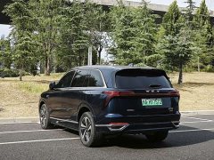 Great Wall WEY Blue Mountain Four-Wheel Drive Max - ფოტო 7