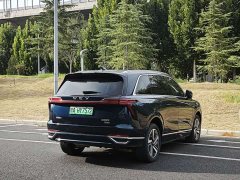 Great Wall WEY Blue Mountain Four-Wheel Drive Max - ფოტო 9
