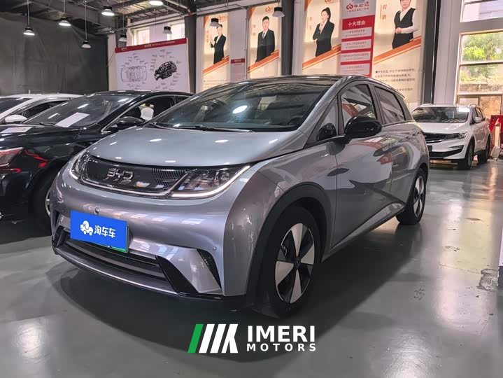 BYD Dolphin 420km Fashion Edition - ავტომობილი ჩინეთიდან