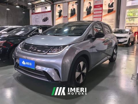 2023 BYD Dolphin 420km Fashion Edition - ავტომობილი ჩინეთიდან