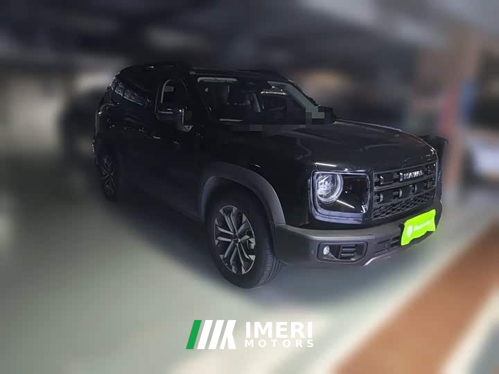 Great Wall Dachshund 2024 1.5T DCT Border Collie Edition - ავტომობილი ჩინეთიდან