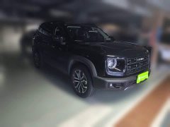 Great Wall Dachshund 2024 1.5T DCT Border Collie Edition - ფოტო 1