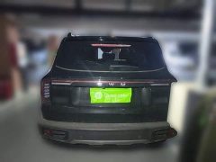 Great Wall Dachshund 2024 1.5T DCT Border Collie Edition - ფოტო 2