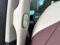 Xpeng X9 Extended Range 1602 Max - ფოტო 13