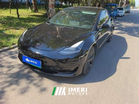 2022 Tesla Model 3 Rear-Wheel Drive - ავტომობილი ჩინეთიდან