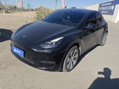 Tesla Model Y 2022 Performance All-Wheel Drive - ფოტო 1