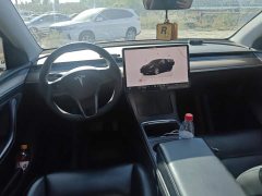 Tesla Model Y 2022 Performance All-Wheel Drive - ფოტო 12