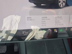 Tesla Model Y 2022 Performance All-Wheel Drive - ფოტო 14