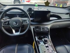 BYD Qin Plus DM-i 55KM Luxury - ფოტო 12