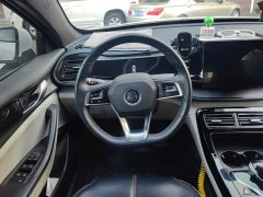 BYD Qin Plus DM-i 55KM Luxury - ფოტო 15