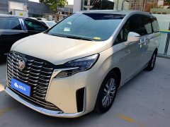 Buick GL8 ES Luxe Enjoyment Edition - ფოტო 1