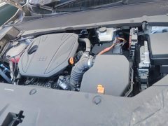 Geely Galaxy Starship 7 120km Voyage Edition - ფოტო 10