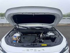 Jetour Jietu X70 PLUS 1.5T CVT Mountain 7-Seater - ფოტო 19