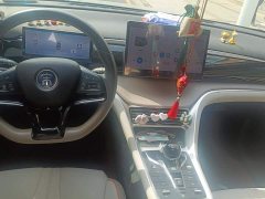 BYD Song Pro New Energy Champion Edition DM-i 110KM Excellence - ფოტო 12