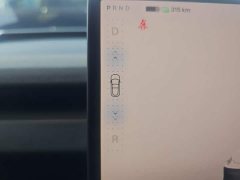 Tesla Model 3 2023 Rear-Wheel Drive - ფოტო 16