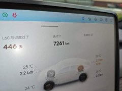 Nio Lerado L60 2024 60kWh Rear-Wheel Drive - ფოტო 7