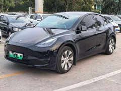 Tesla Model Y Standard Range RWD - ფოტო 1