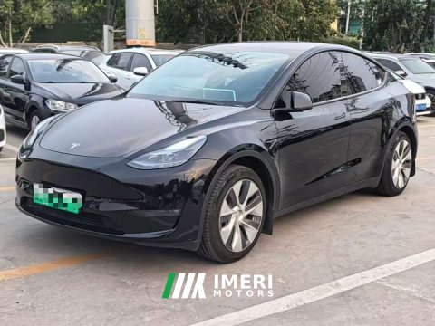 2021 Tesla Model Y Standard Range RWD - ავტომობილი ჩინეთიდან