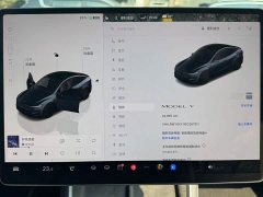 Tesla Model Y Rear-Wheel Drive - ფოტო 16