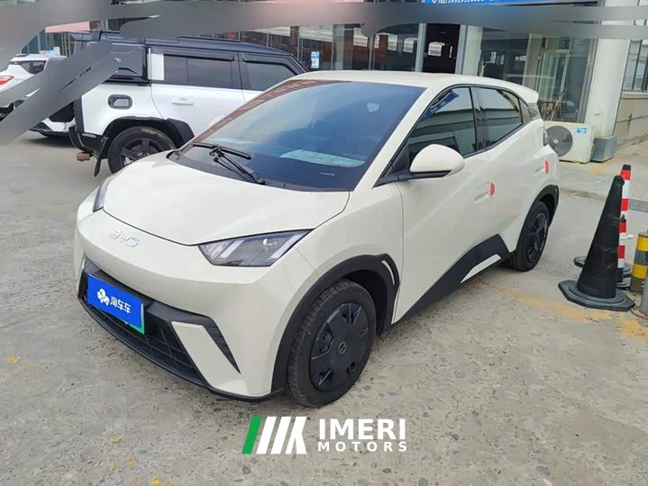 BYD Seagull Glory Edition 305km Vitality Version - ავტომობილი ჩინეთიდან