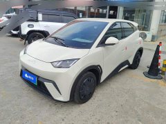 BYD Seagull Glory Edition 305km Vitality Version - ფოტო 1