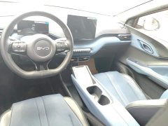 BYD Seagull Glory Edition 305km Vitality Version - ფოტო 12