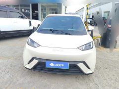 BYD Seagull Glory Edition 305km Vitality Version - ფოტო 2