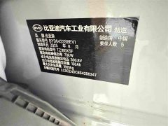 BYD Yuan UP 2024 401KM Vitality Edition - ფოტო 19