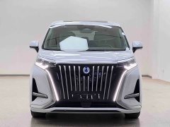 Denza BYD Denza D9 2022 EV 600 AWD Flagship - ფოტო 2