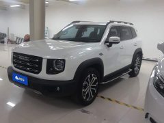Great Wall Dachshund 1.5T DCT Two-Wheel Drive Border Collie-Wangcai Edition - ფოტო 1