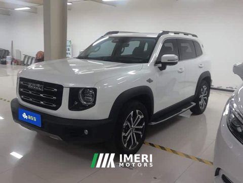 2021 Great Wall Dachshund 1.5T DCT Two-Wheel Drive Border Collie-Wangcai Edition - ავტომობილი ჩინეთიდან