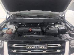 Great Wall Dachshund 1.5T DCT Two-Wheel Drive Border Collie-Wangcai Edition - ფოტო 10