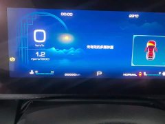 Great Wall Dachshund 1.5T DCT Two-Wheel Drive Border Collie-Wangcai Edition - ფოტო 14