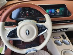 ORA Good Cat 2024 401km Luxury - ფოტო 12