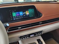 ORA Good Cat 2024 401km Luxury - ფოტო 13