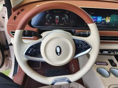 ORA Good Cat 2024 401km Luxury - ფოტო 15