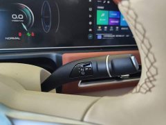 ORA Good Cat 2024 401km Luxury - ფოტო 16