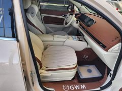 ORA Good Cat 2024 401km Luxury - ფოტო 8