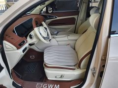ORA Good Cat 2024 401km Luxury - ფოტო 9