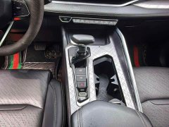 Geely Xingui Xingrui 2.0T Diesel Premium Edition - ფოტო 12