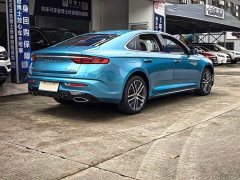 Geely Xingui Xingrui 2.0T Diesel Premium Edition - ფოტო 17