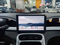 Geely Xing Yuan 410km Aspiration Edition - ფოტო 9
