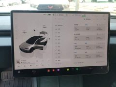 Tesla Model 3 2023 Rear-Wheel Drive - ფოტო 14